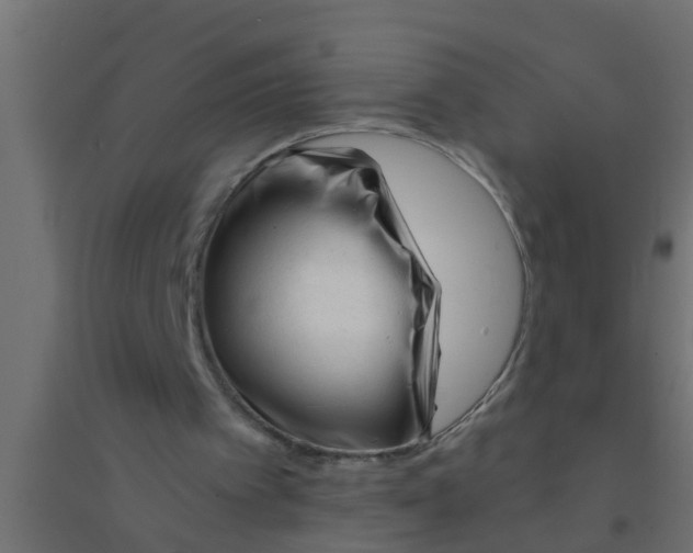 X0000094330097200711241838