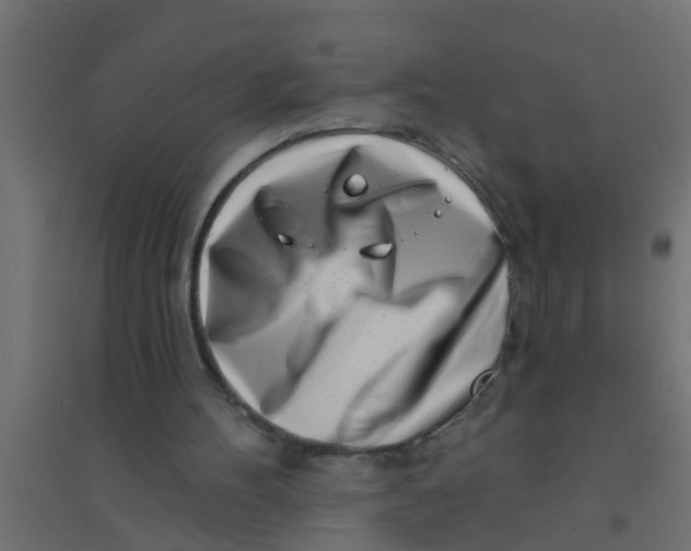 X0000094330100200711241838