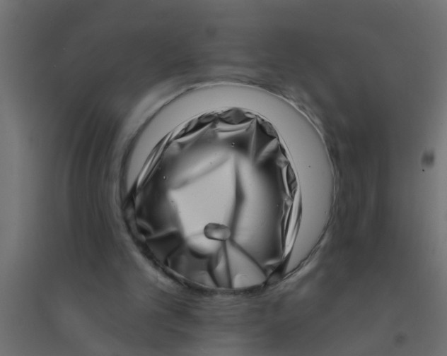 X0000094330101200711241838