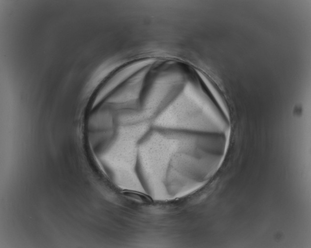 X0000094330103200711241838