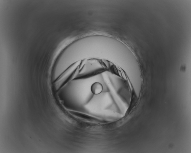 X0000094330104200711241838