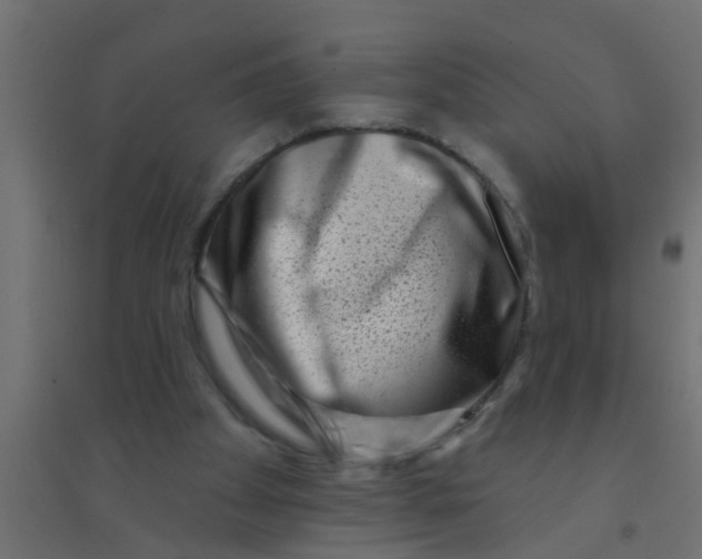 X0000094330105200711241838