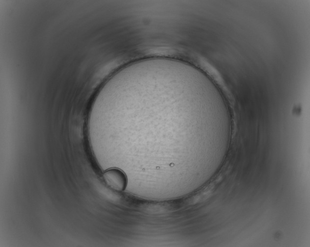 X0000094330106200711241838