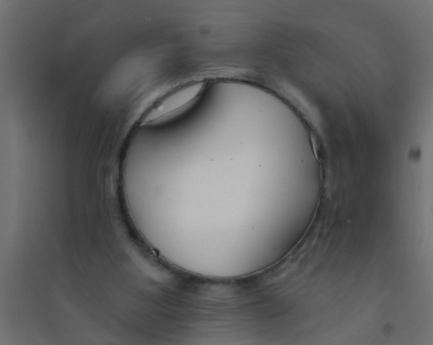 X0000094330107200711241838