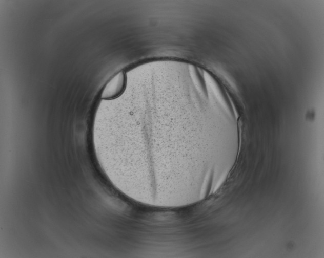 X0000094330108200711241838