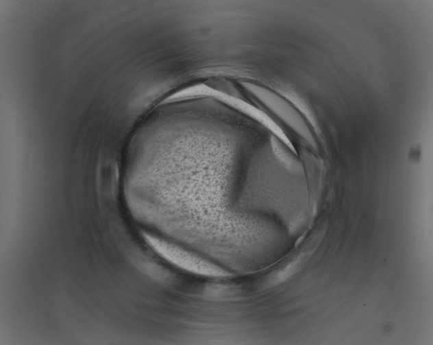 X0000094330109200711241838