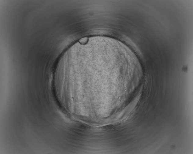 X0000094330110200711241838