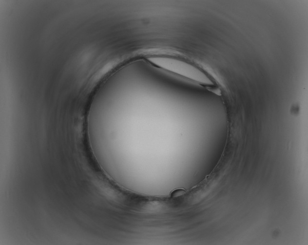 X0000094330111200711241838