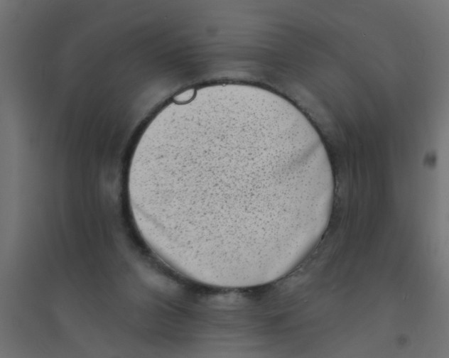 X0000094330112200711241838