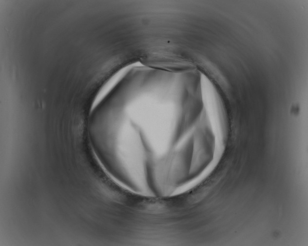 X0000094330113200711241838