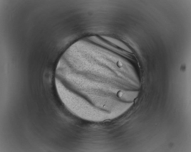 X0000094330115200711241838