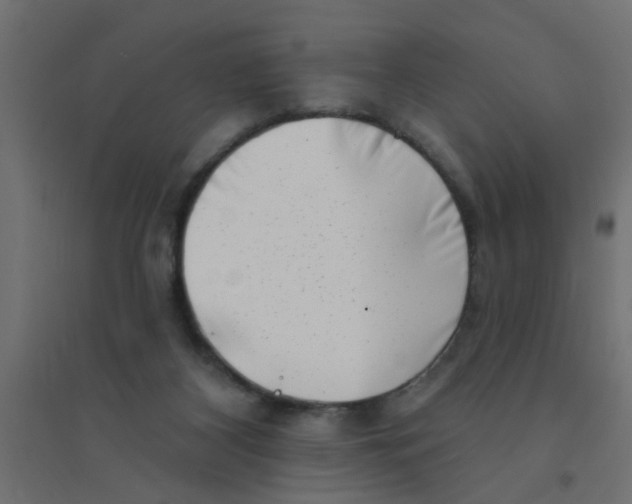 X0000094330116200711241838