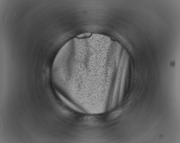 X0000094330117200711241838