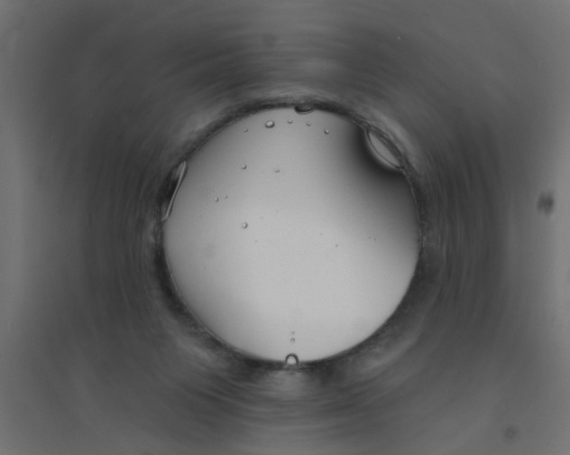 X0000094330119200711241838