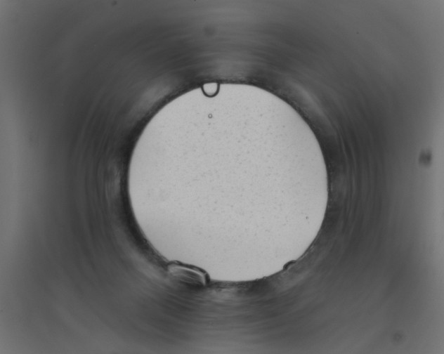 X0000094330120200711241838