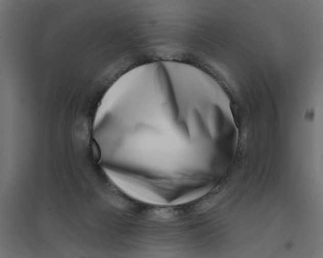 X0000094330121200711241838