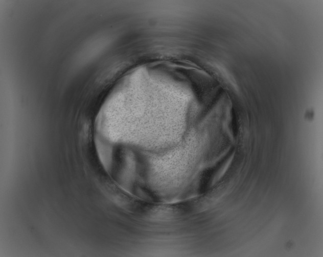 X0000094330123200711241838