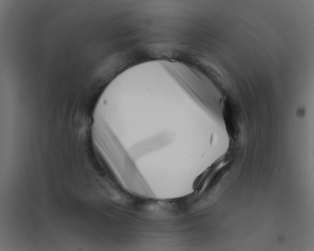 X0000094330125200711241838