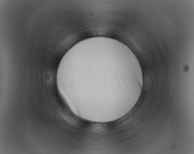 X0000094330126200711241838