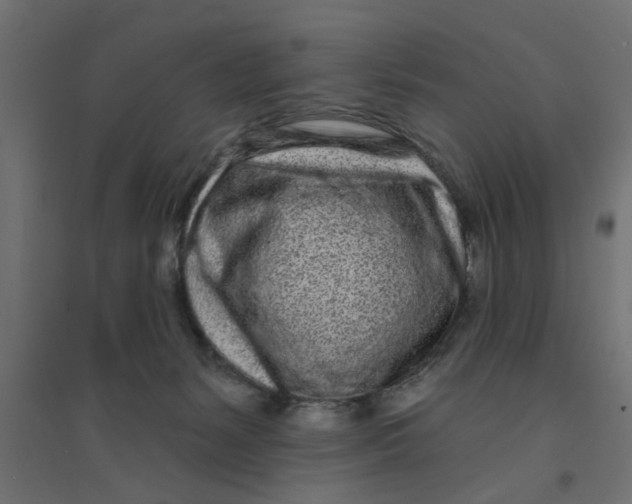 X0000094330127200711241838