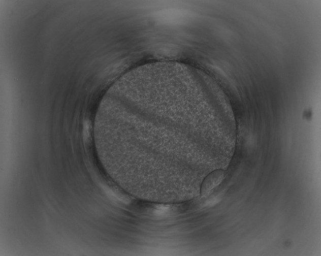 X0000094330130200711241838