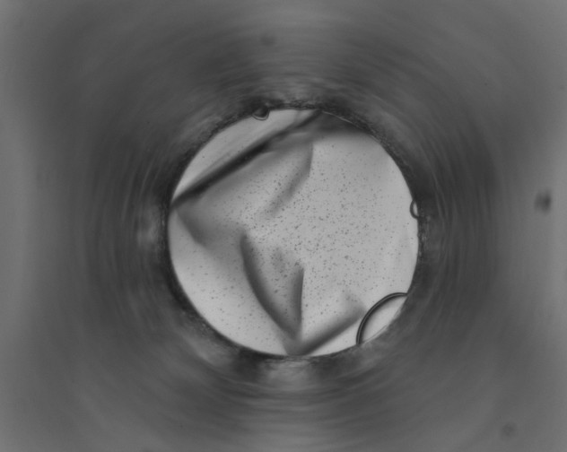 X0000094330132200711241838