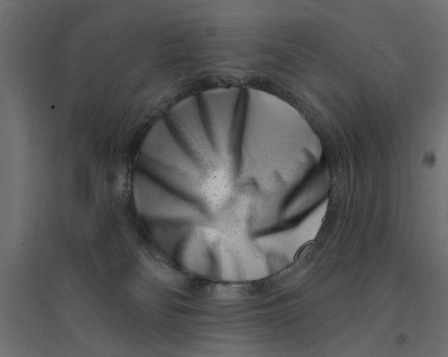 X0000094330134200711241838