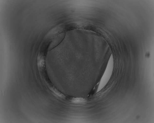 X0000094330137200711241838