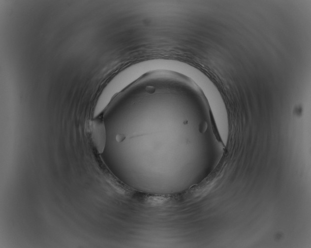 X0000094330139200711241838