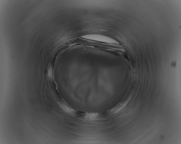 X0000094330143200711241838