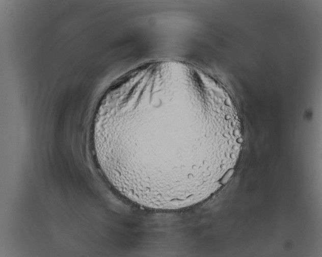 X0000094330145200711241837