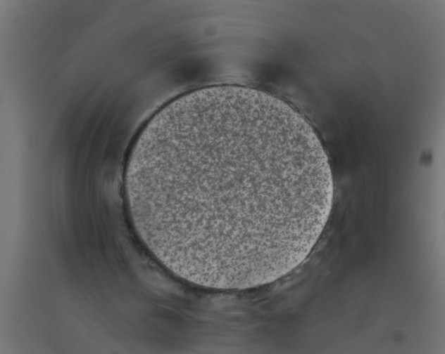 X0000094330146200711241837