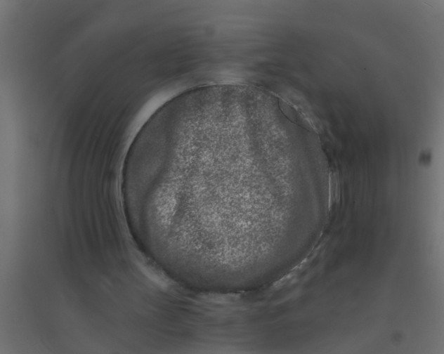 X0000094330147200711241837