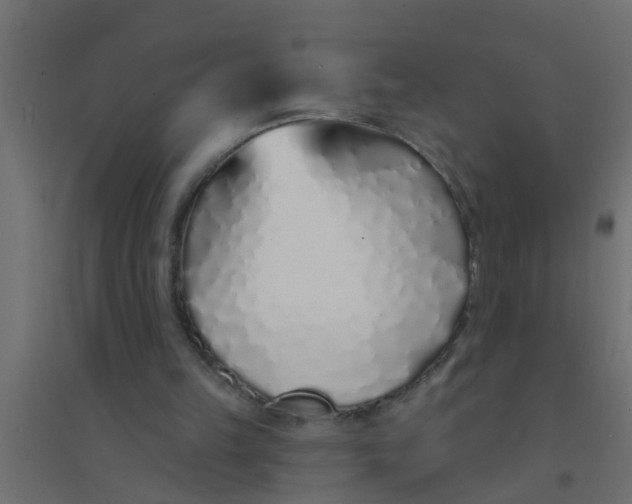 X0000094330149200711241837