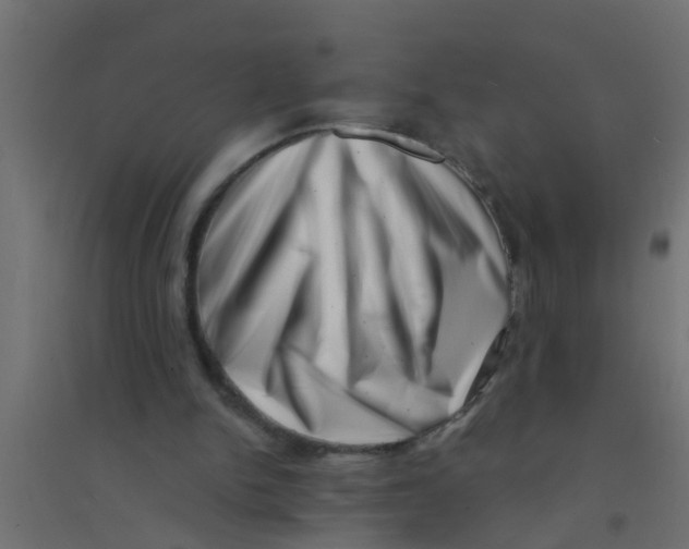 X0000094330150200711241837