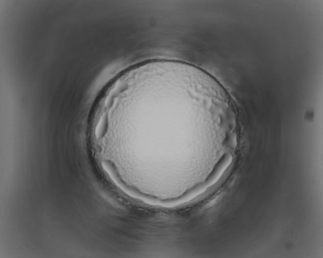 X0000094330151200711241837