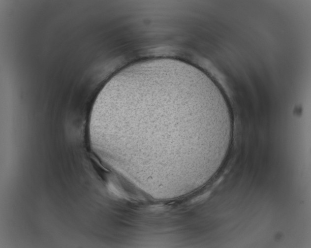 X0000094330153200711241837