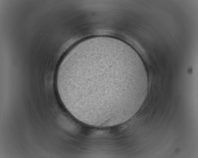 X0000094330155200711241837