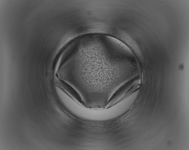 X0000094330156200711241837