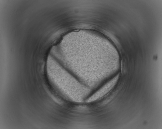 X0000094330157200711241837