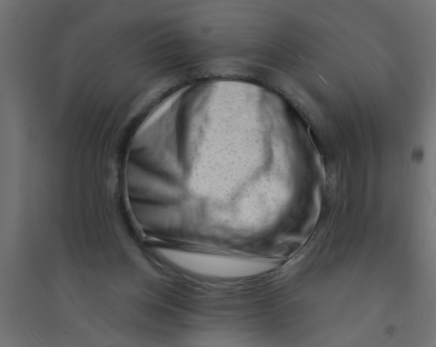 X0000094330158200711241837