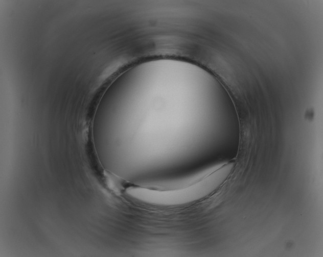 X0000094330160200711241837