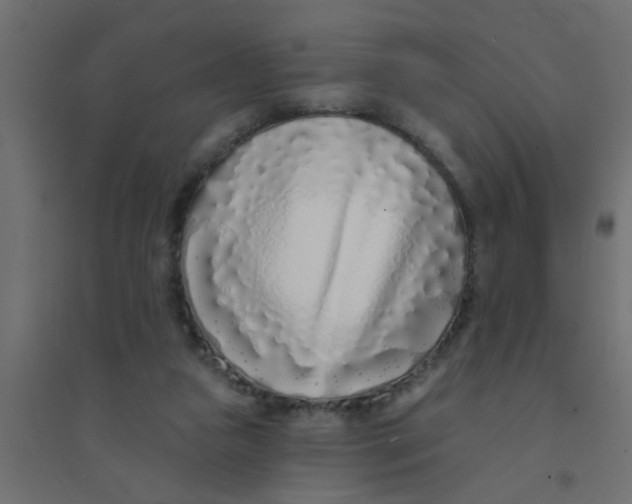 X0000094330161200711241837