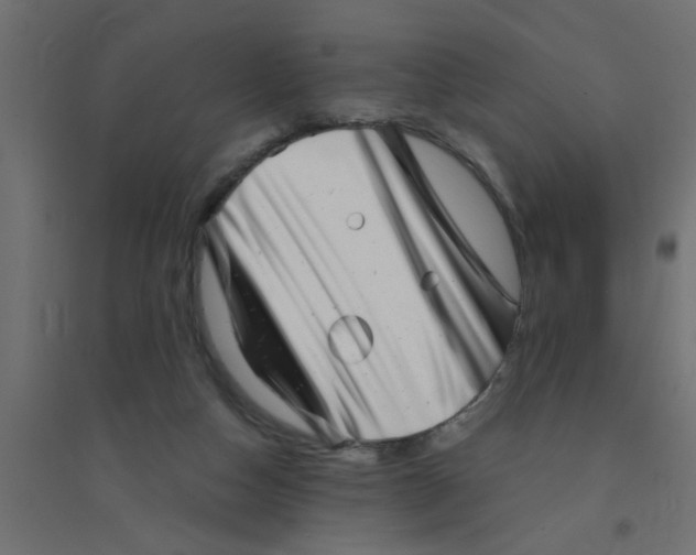 X0000094330162200711241837