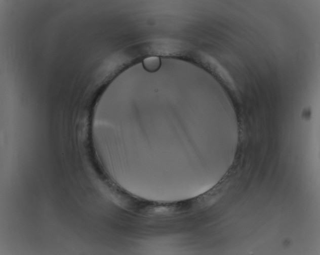 X0000094330163200711241837