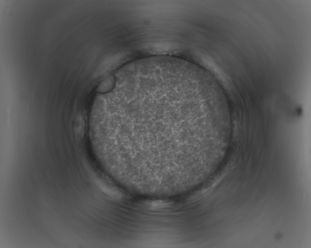 X0000094330165200711241837