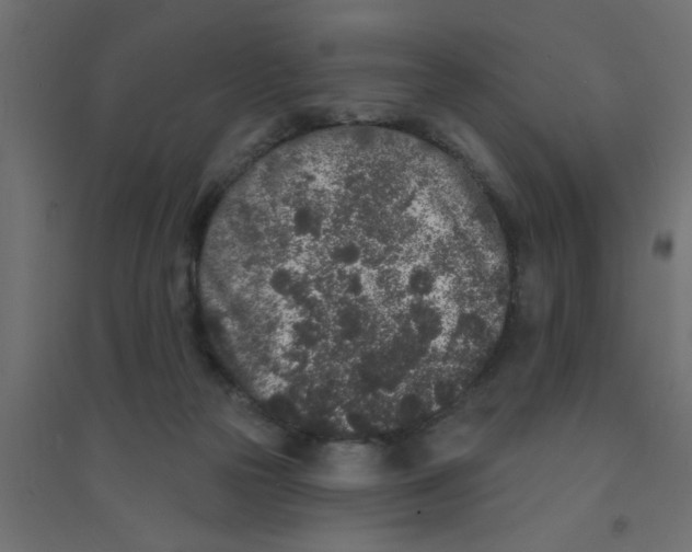 X0000094330169200711241837