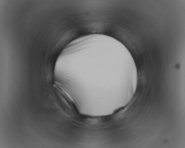 X0000094330170200711241837