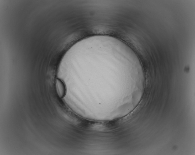 X0000094330171200711241837