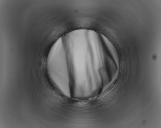 X0000094330172200711241837